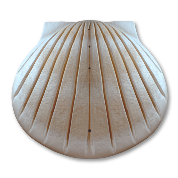 Tan and white shell-shaped water cremation urn