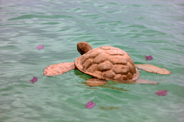 Turtle-shaped cremation urn floating in water with flower petals