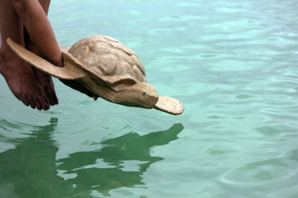 Turtle-shaped cremation urn being placed into water